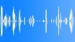 15 Month Old BabySound Effect