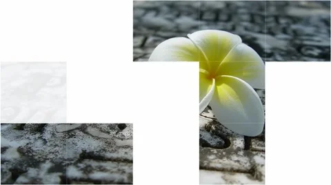 15 Transitions for Your Slideshow  Stock After Effects