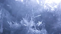 Rotate around Beautiful Ice Crystals Growing and Freezing Snow