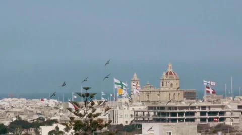 150fps - Flock of Birds in the Sky 02 Stock Footage 48845237