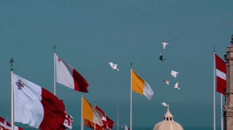 150fps - Flock of Birds in the Sky 09 Stock Footage 48846172