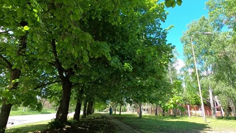 151 running away Stock Footage 308326536