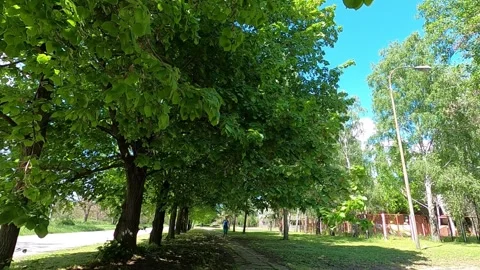 152 running approaching Stock Footage 308326533