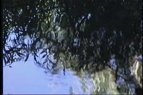 1522 reflective pool lake waves ripple Stock Footage 848906