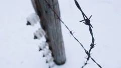 Footage Of Electric Fence With Barbed Wires In Auschwitz - Nazi's concentration