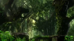 Jungle Scene with Sun Rays Animated Background 50sec Seamless Loop
