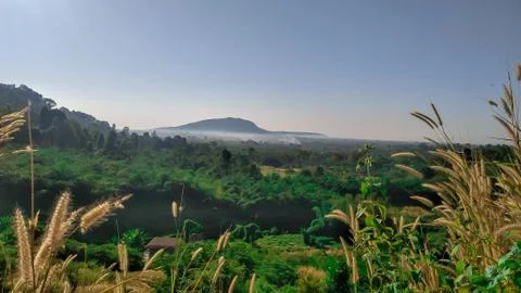 1574777786499 Foto stock
