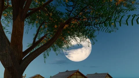On the 15th day of the eighth month of the Mid-Autumn Festival, a family enj 스톡 동영상 319414174