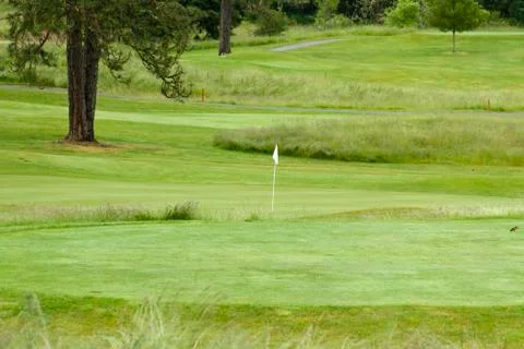 The 15th Hole Foto stock