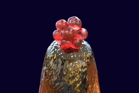 16-cell human embryo on a needle tip Stock Illustration