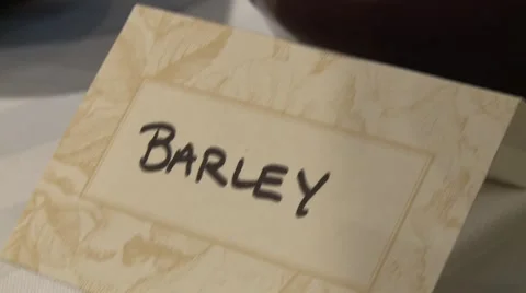 16 Stock Footage 919344