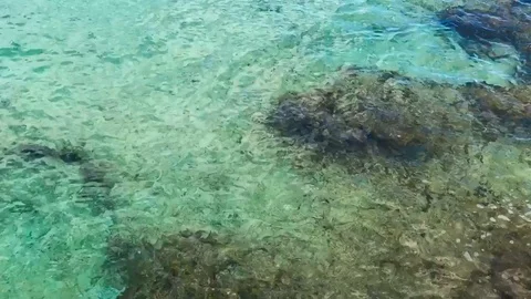 16 second video overview crystal clear water cloral reef calm waves Stock Footage 96518600