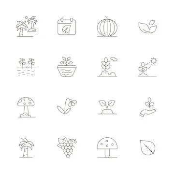 16 Thin Line Vector Icons designed for Botany in 128x128 Pixel Aligned format Stock Illustration