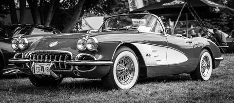 DIEDERSDORF,  GERMANY  -  AUGUST  21,  2021:  The  sports  car  Chevrolet  Corvette  (C1),  1960.  Black  and  white.  The  exhibition  of  "US  Car  Classics". xkwx america,  american,  ancient,  antique,  auto,  automobile,  automotive,  car,  classic,  design,  diedersdorf,  exhibition,  germany,  machine,  model,  nostalgia,  old,  oldtimer,  retro,  style,  transport,  transportation,  us,  usa,  vehicle,  engine,  sports  car,  exterior,  Chevrolet,  Corvette,  Convertible,  cabrio,  cabriolet,  2-door,  c1,  Vette,  muscle  car,  black,  white,  vintage