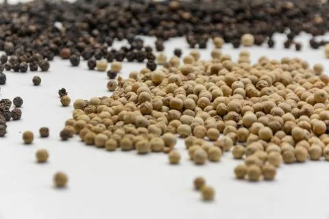 白胡椒 후추 黑胡椒 Stock Photos