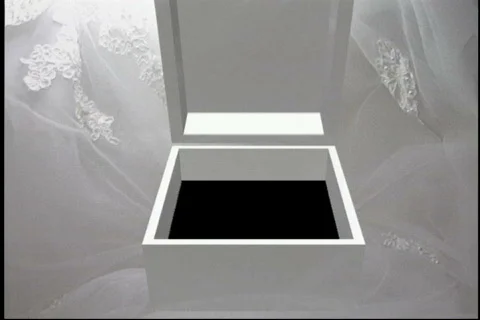 1628L wedding ring box transition Stock Footage 837907