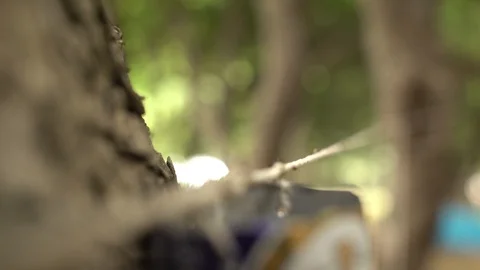 1648. Ants Passing on a Thread 4K Stock Footage 88731537