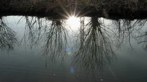 166 Trees are reflected in the channel, sun and longs play on water, sunny b Stock Footage 124381315
