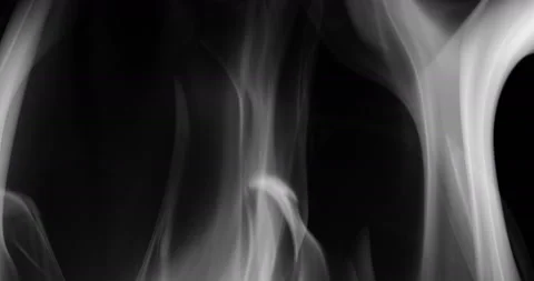 167A0144 Stock Footage 190296086