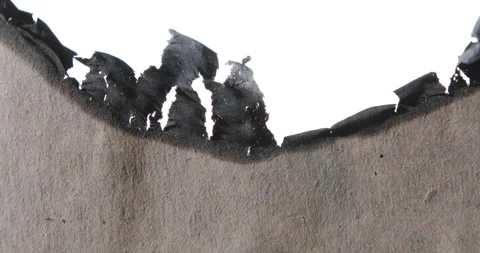 167A8973 스톡 동영상 234965143