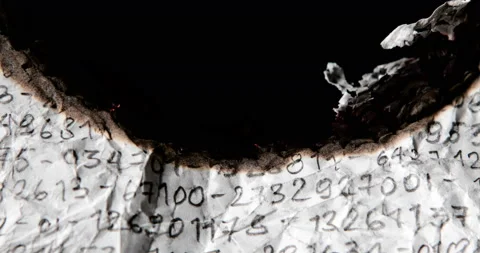 167A8974 Stock Footage 234965141