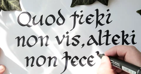 167A9468 Stock Footage 234969979