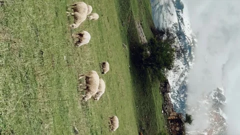 1698650368199207 Stock Footage 254581487