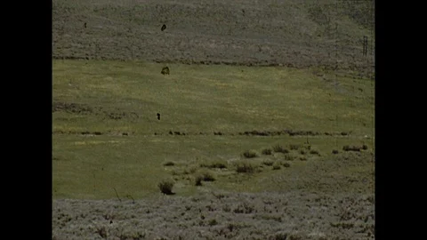 16mm pan empty meadow Stock Footage 129851347