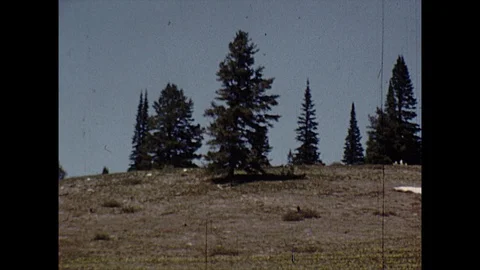 16mm pan wilderness Stock Footage 129849992
