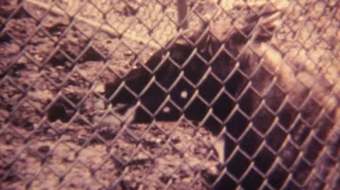 16mm Super8 Video stock 11146643