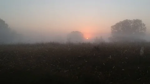 17 Flying to the sun over the summer field in the fog Video stock 104049577