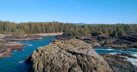 17 Stock Footage 91373346