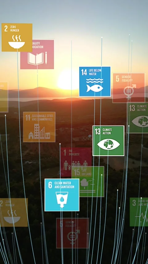17 Global Goals Concept Earth Plexus Design Motion Graphic Animation. High .. Stock Footage 296760204