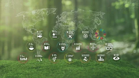 The 17 Global Goals With Plexus Grid World Map On Moss Real Nature Background Stock Footage 202102690