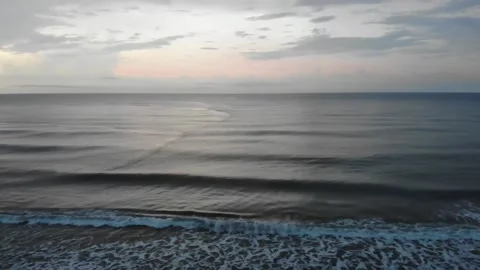 17 Palomino Stock Footage 135763923