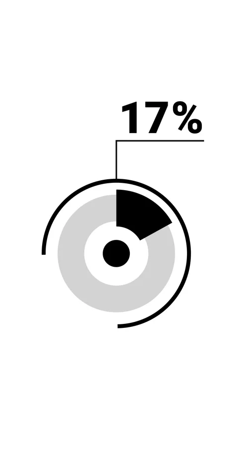 17 percent vertical donut chart. Circle round infographic, graphic animatio.. Stock Footage 285645188