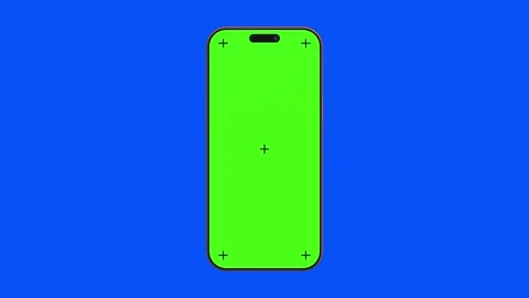 17 Pro Green And Blue Screen Chroma Key Stock Footage 317107487