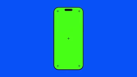 17 Pro Green And Blue Screen Chroma Key Stock Footage 317107493