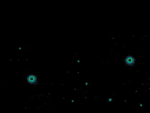 170-00 Stock Footage 6065673