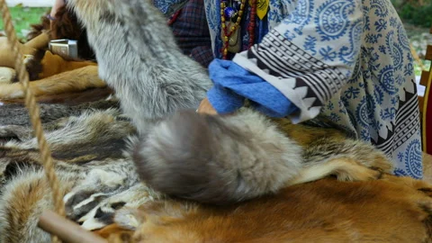 1700s fur trader with gray fox fur Stock Footage 168087853