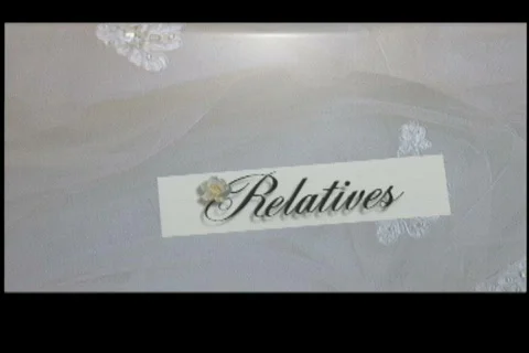 1701L wedding guests Stock Footage 838509