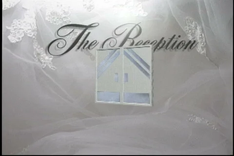 1702L wedding reception Stock Footage 838503