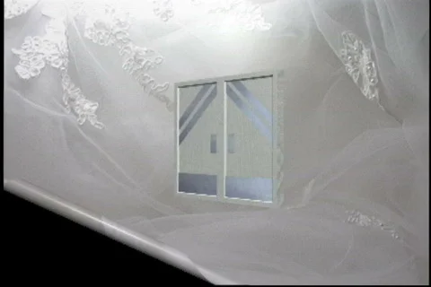 1703L wedding reception transition Stock Footage 838488