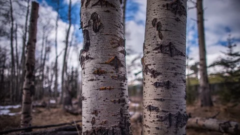 170408 BoundaryRanch Stock Footage 88184646