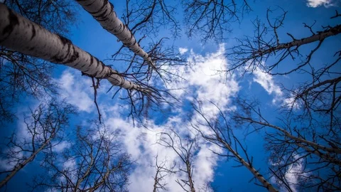 170408 BoundaryRanch Stock Footage 88189748