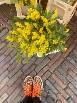 1728999703620 Stock Photos