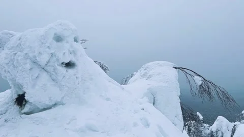 1748345689716301 Stock Footage 310823166