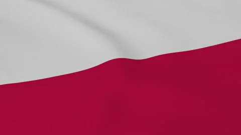 175 Republic of Poland Stock Footage