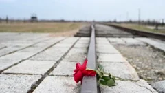 Red flower on railway tracks in Auschwitz Birkenau extermination camp.