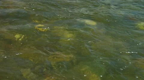 17July Water 02 Stock Footage 12760750